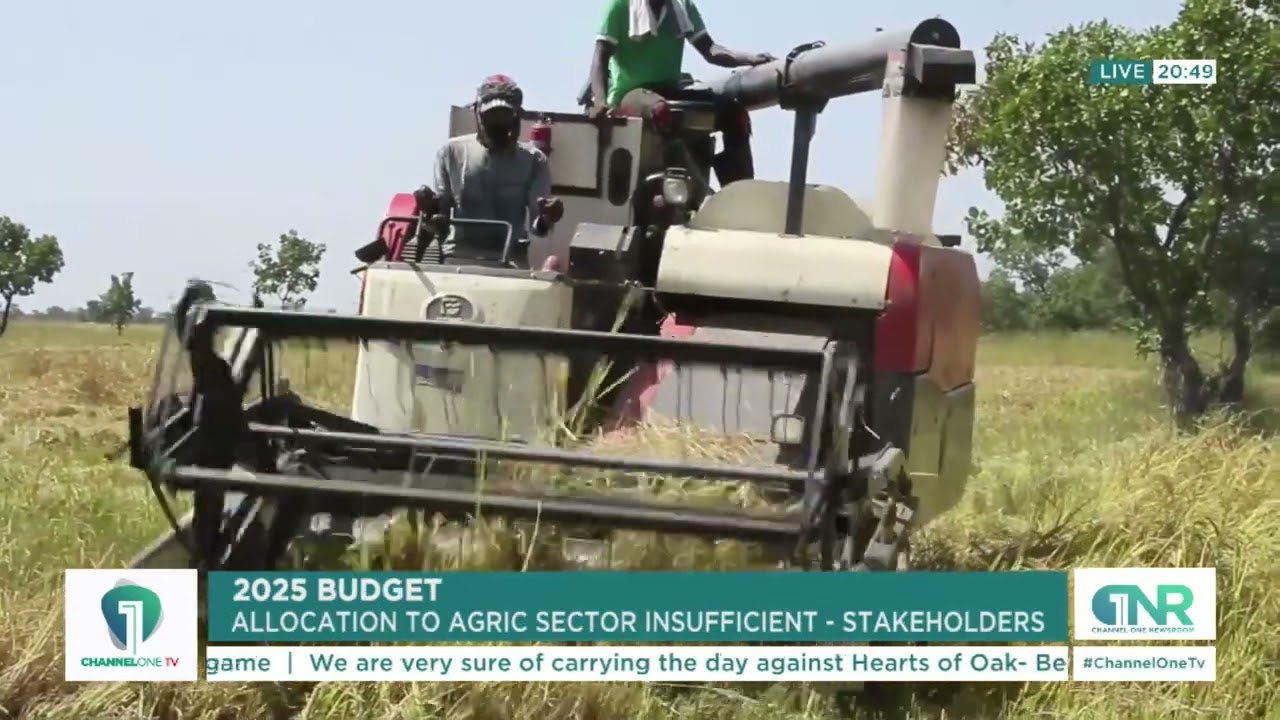 2025 Budget Fallout: Ghana Needs Stronger Domestic Bond Market, But Agri Sector Gets Less Funds!