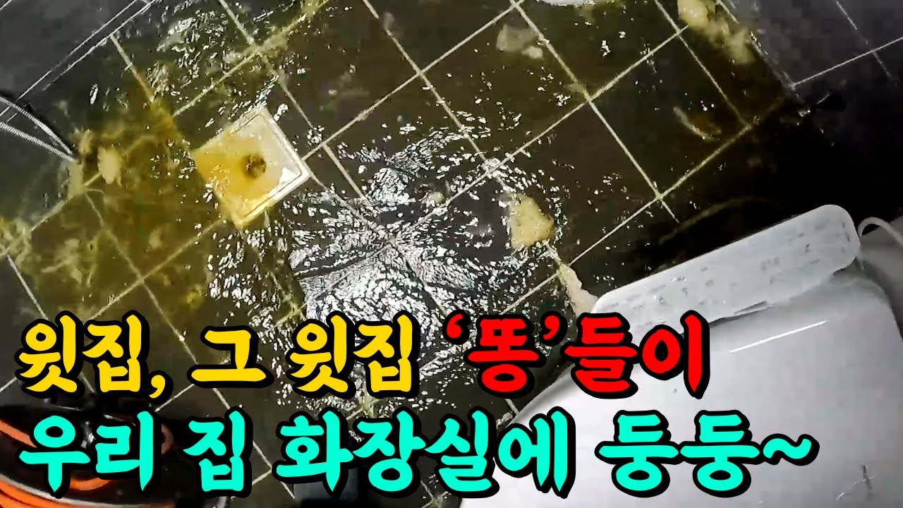 변기역류 발생 그런데 진짜 원인은 놀라웠다! (184화) | 하수구공식TV📺