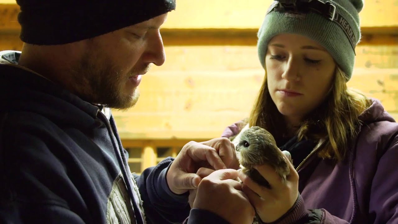 Wildlife Technology - Penn State DuBois