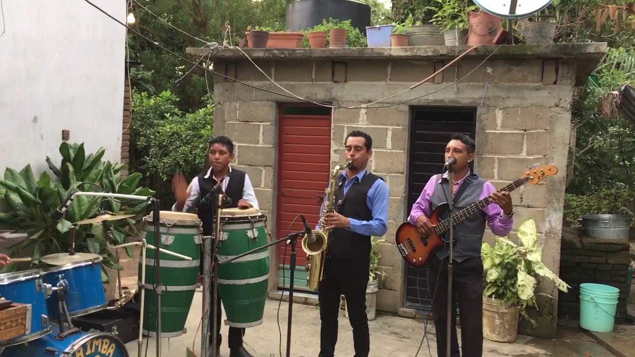 Palomita de oro-Marimba Santa Lucía