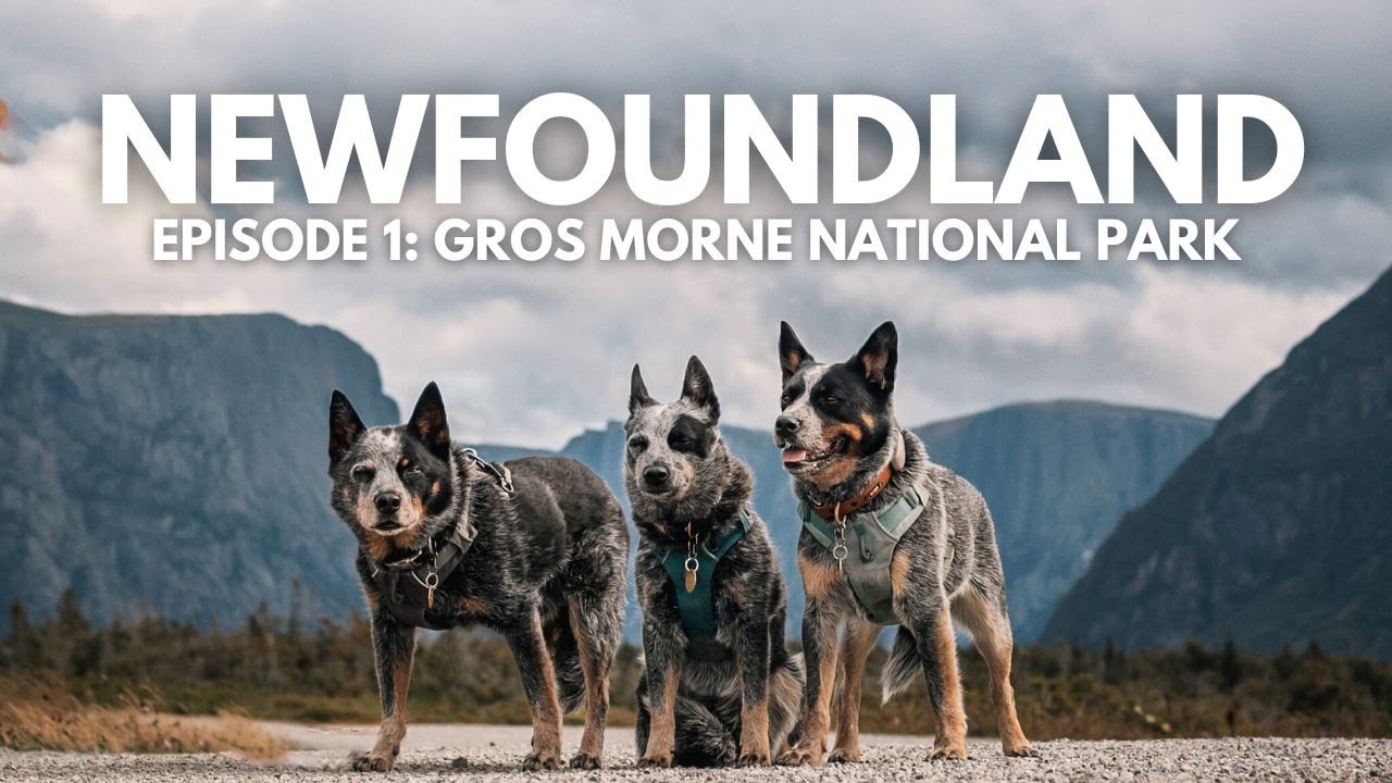 Newfoundland Episode 1 | Gros Morne National Park