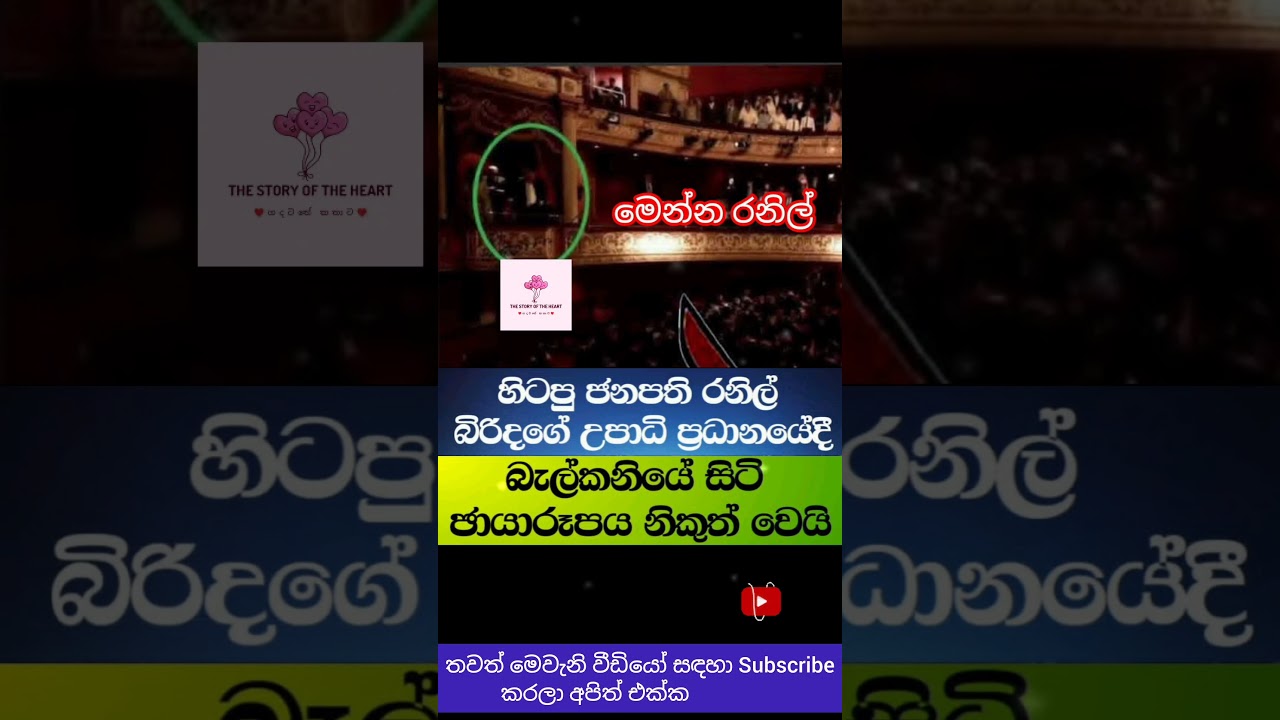 මෙන්න රනිල් 🥴 #ranilwickremesinghe #unp #viral #srilanka #trending #news #bbc