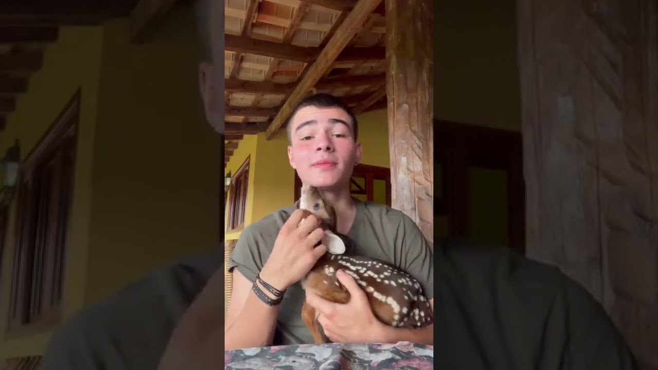 NASCEU UM FILHOTE DE VEADO NO INSTITUTO ON&Ccedil;A-PINTADA!! | TIAGO J&Aacute;COMO