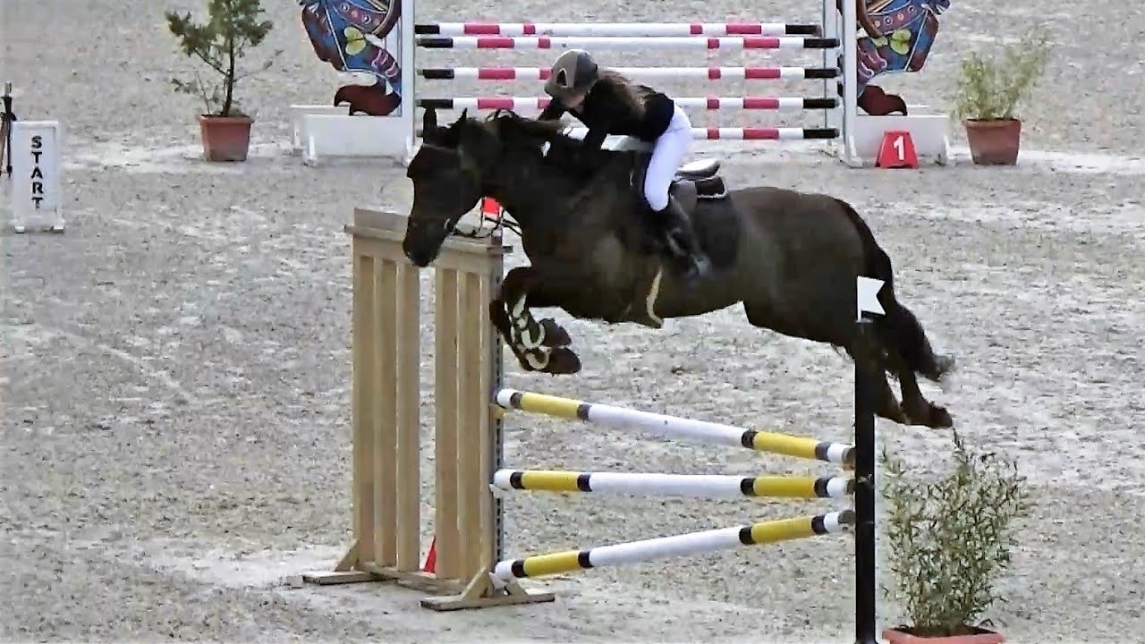 ■ 21/04/2023 - Grand Prix Harcour - Amateur 1 (115 cm) - Fraqk du Pré du Jart - CSO - Clara Maitre