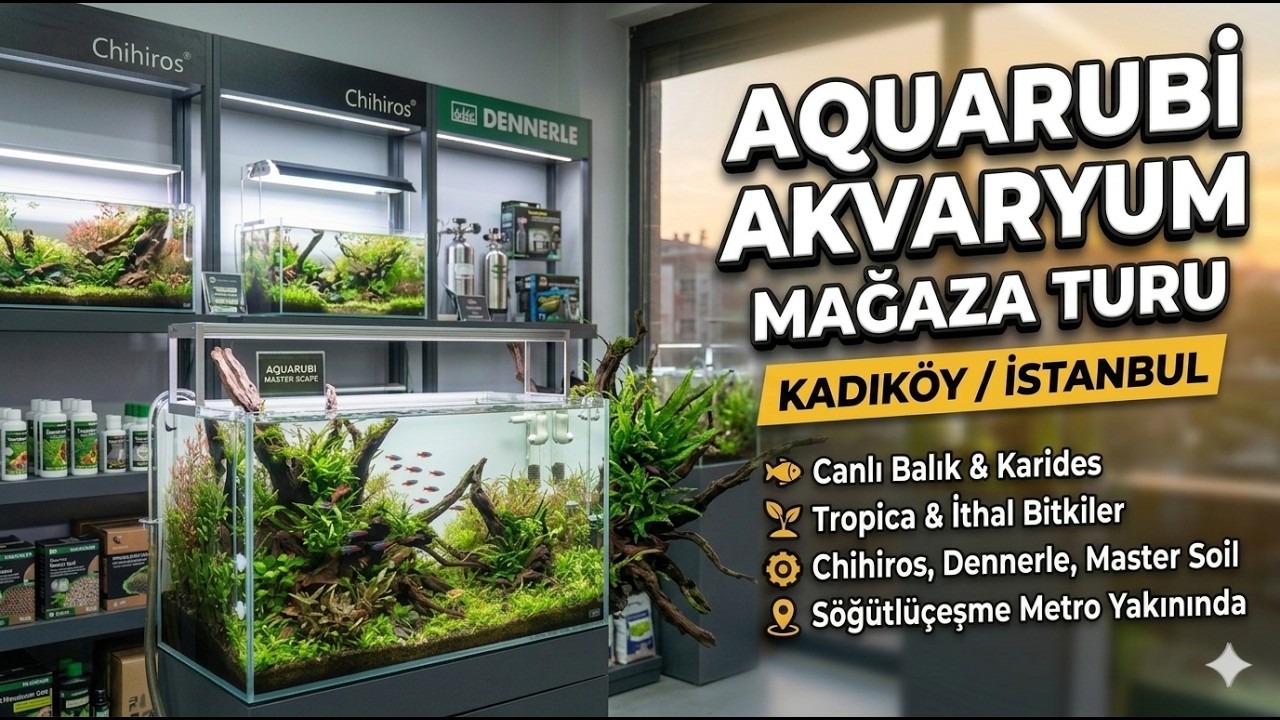 AQUARUBİ Akvaryum Mağazası