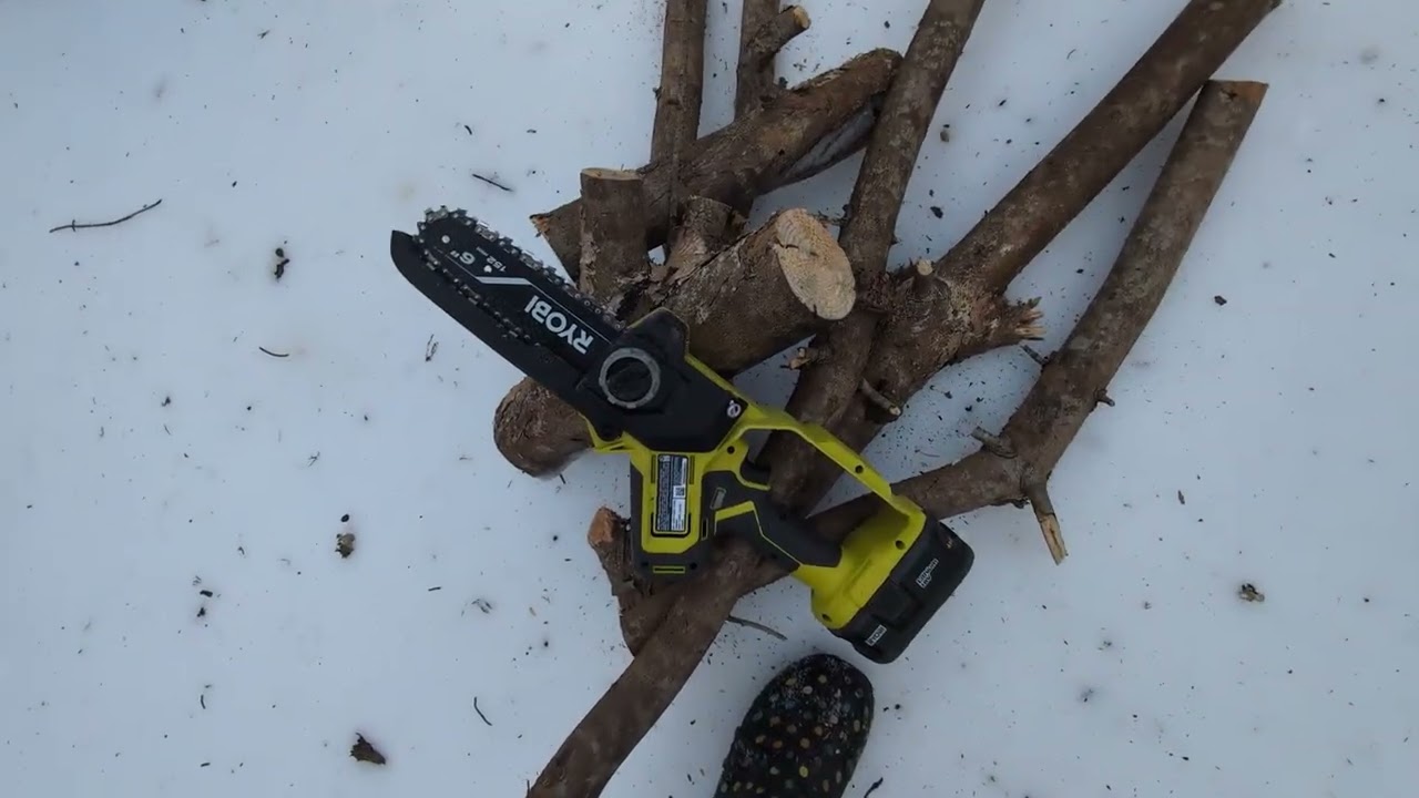 Pruning Chainsaw, Useful Or A Waste Of Money 