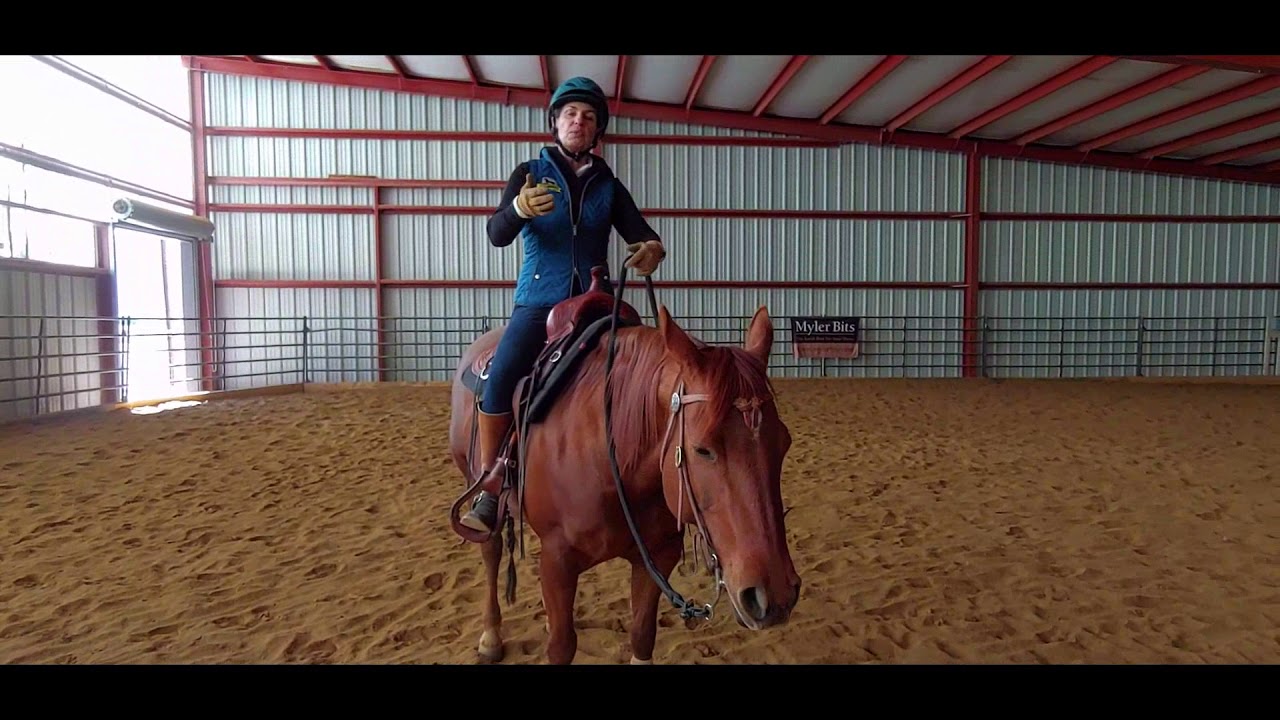Daily Dose of Horsemanship Homework: Riding in Rhythm at the Trot
