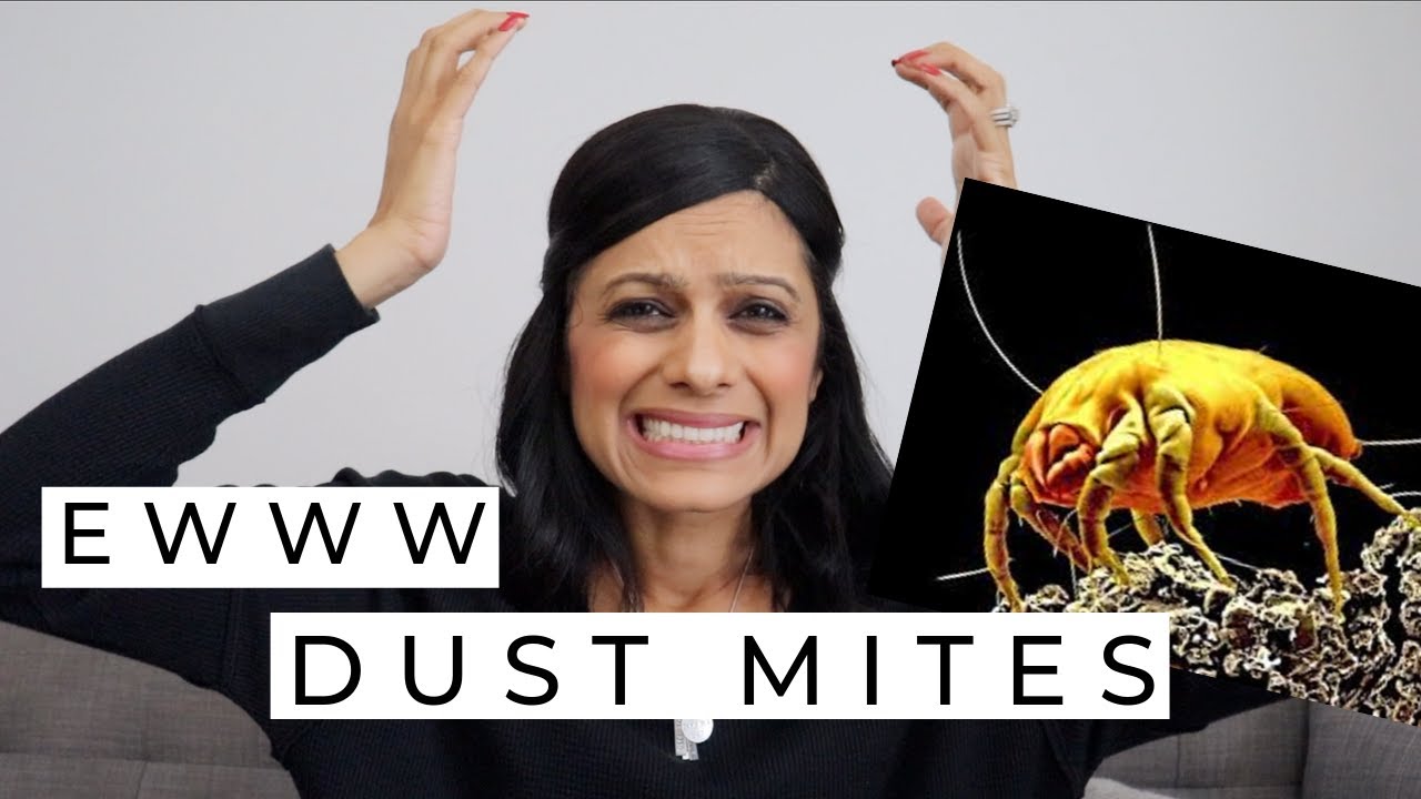 HOW TO DEEP CLEAN YOUR MATTRESS | Remove Dust Mites, Urine, Sweat and Stains!