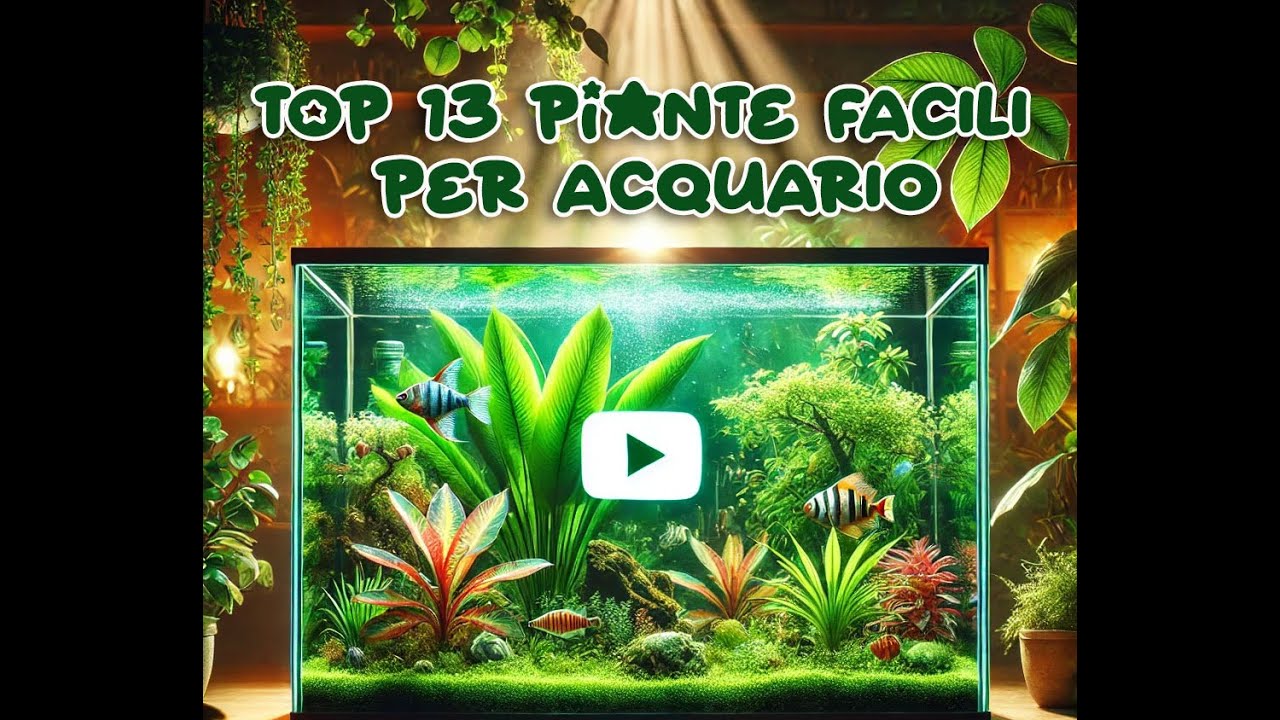 Top 13 piante facili per acquario