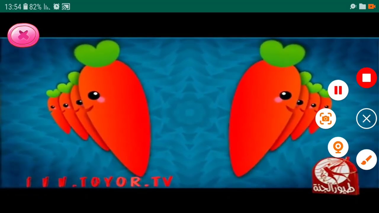 الجزرة | طيور الجنة