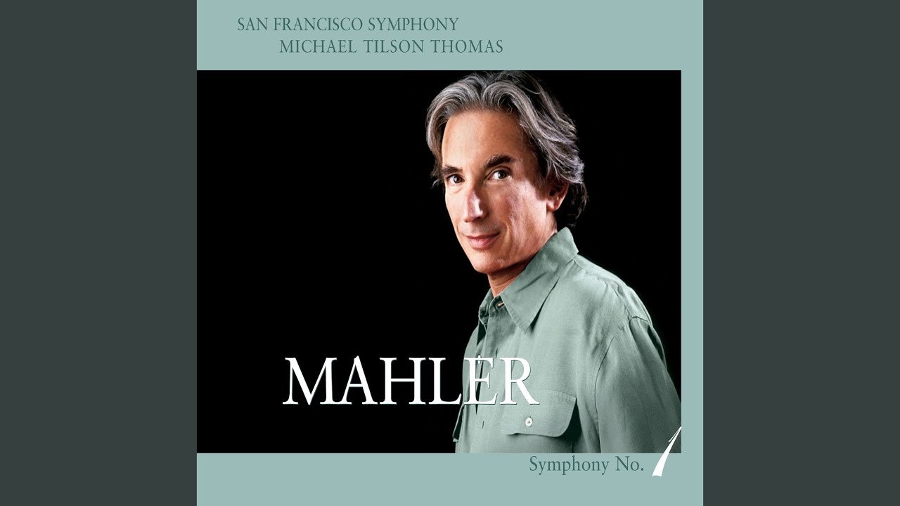 Symphony No. 1 in D Major: IV. Stürmisch bewegt