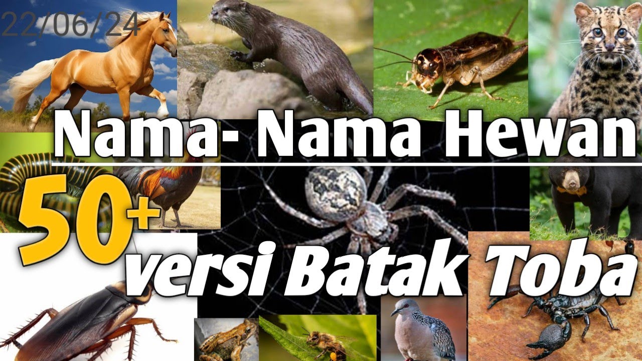 50+ Nama Hewan Dalam Bahasa Batak Toba