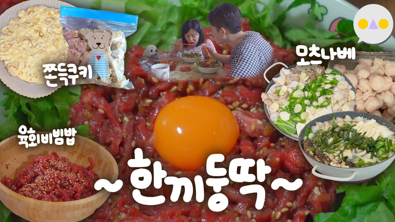{한끼둥딱} 밥보다 육회 더 많이 비빔밥/산더미 대창전골/짭짤 체다치즈 쫀득쿠키