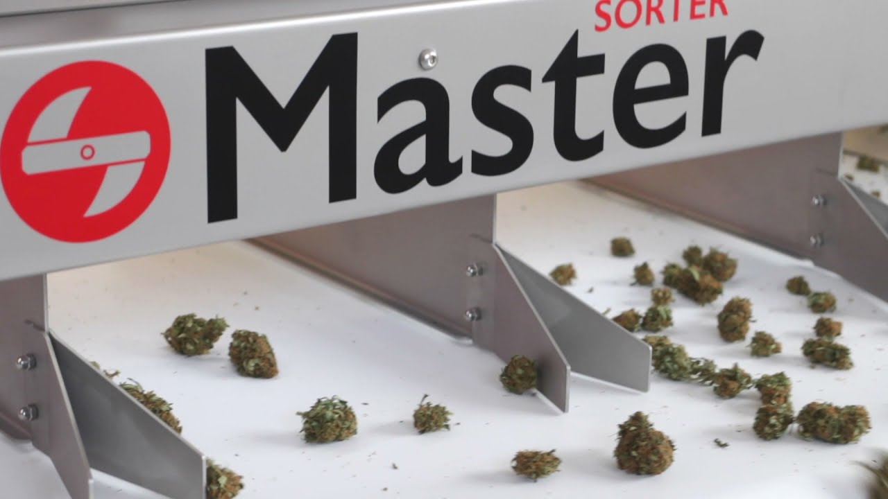 Master Sorter 500