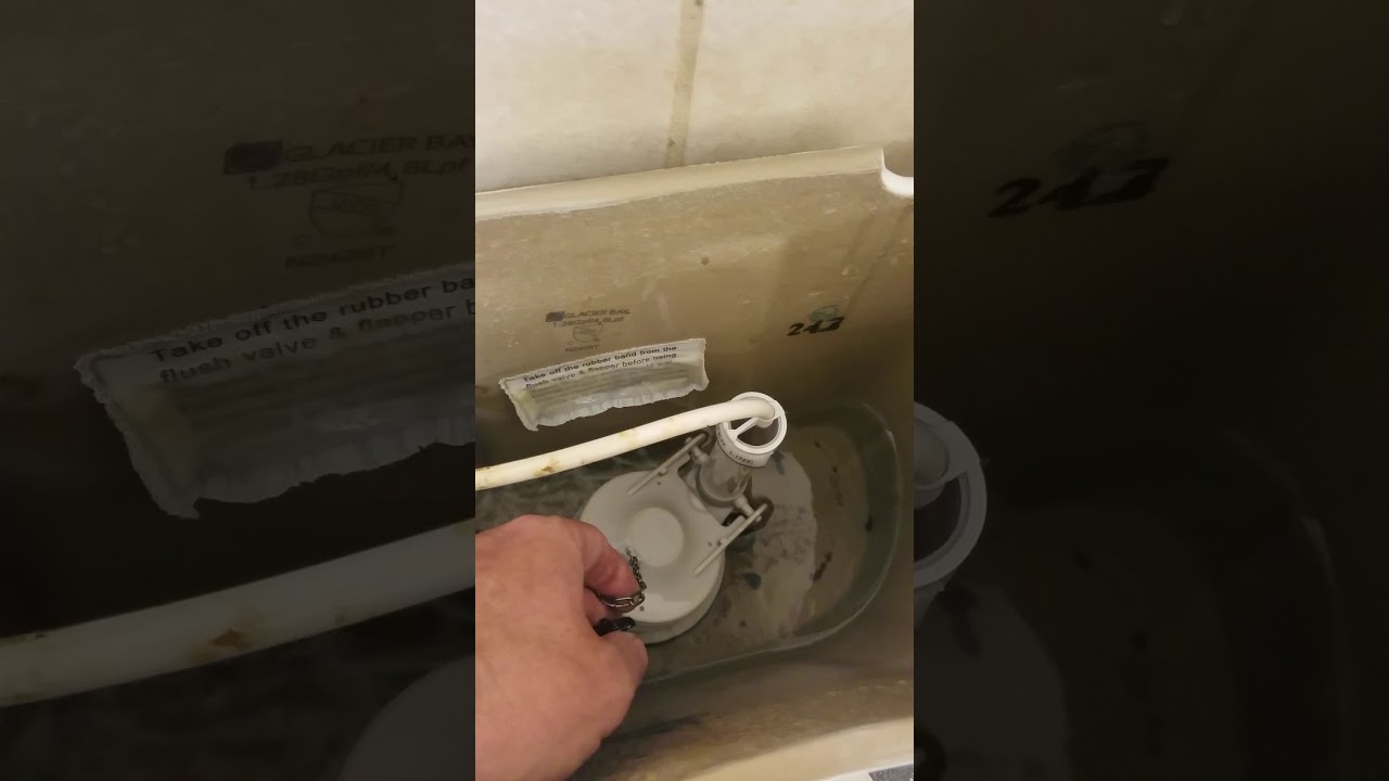 Basic toilet function