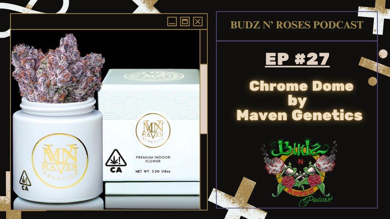 EP.27 Chrome Dome By Maven Genetics