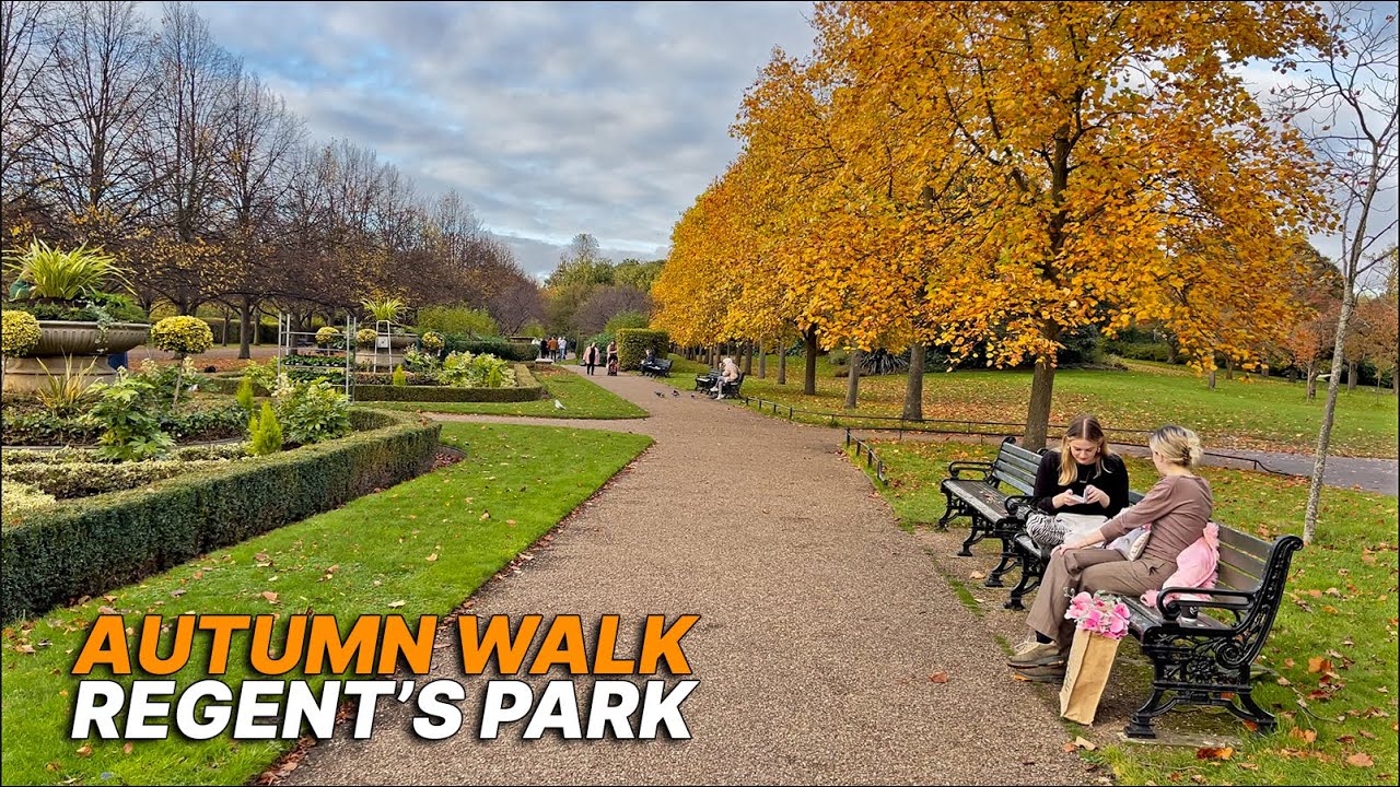 A peaceful and quiet stroll in London's Regent's Park on a crisp autumn afternoon (November 2021)