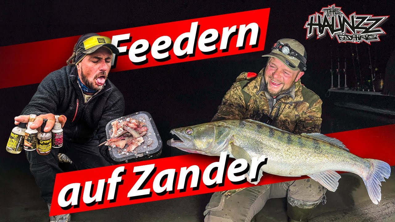 Zanderangeln im Fluss mit Fischfetzen + Futterkorb Montage + Überraschung auf der Sandbank 🦌 ;-)