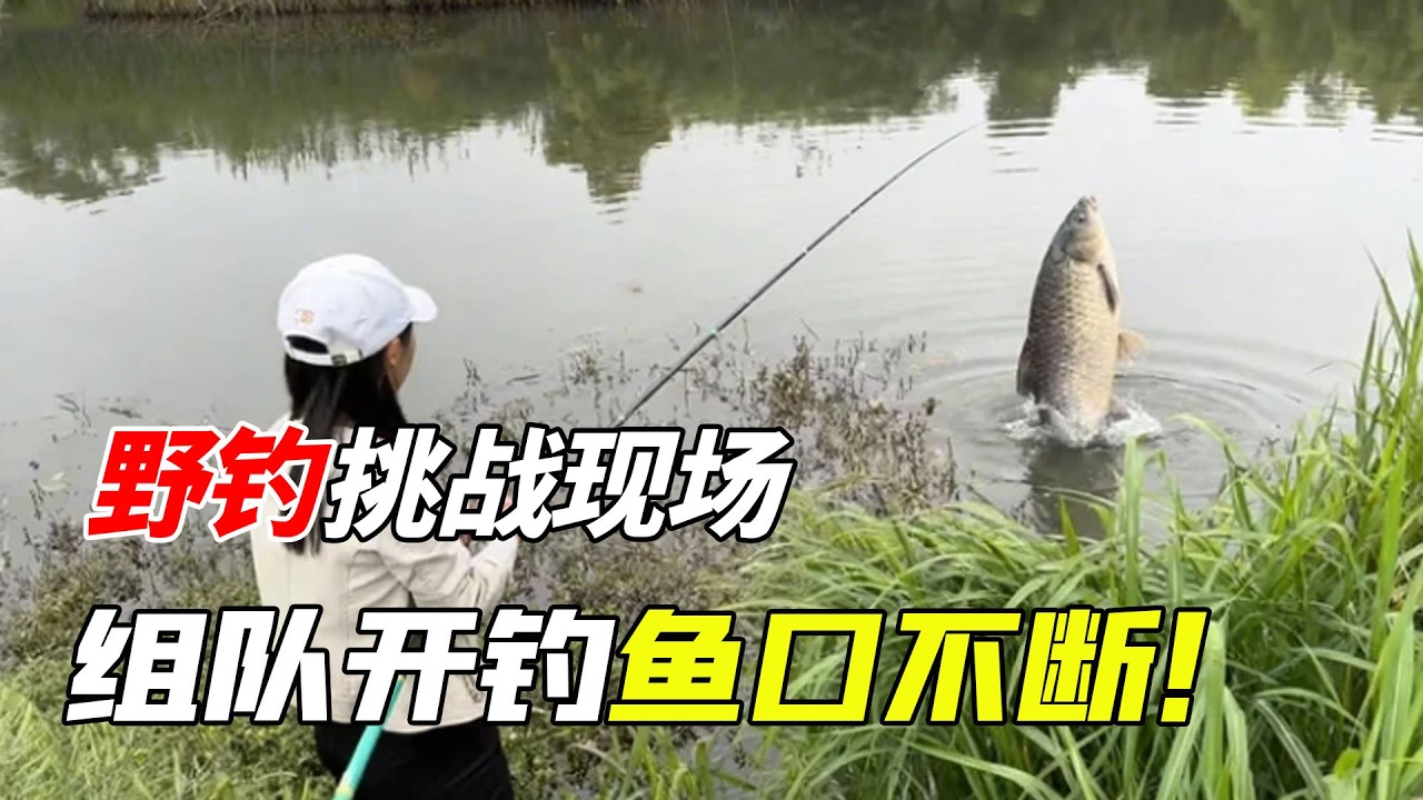 野外傳統釣偶遇外地釣友，兩人組隊開釣魚口不斷，全程歡樂不停超治癒！