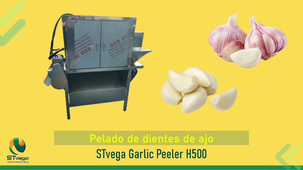 Máquina STvega Garlic Peeler H500 diseñada para pelar ajos (dientes) quitando la cáscara