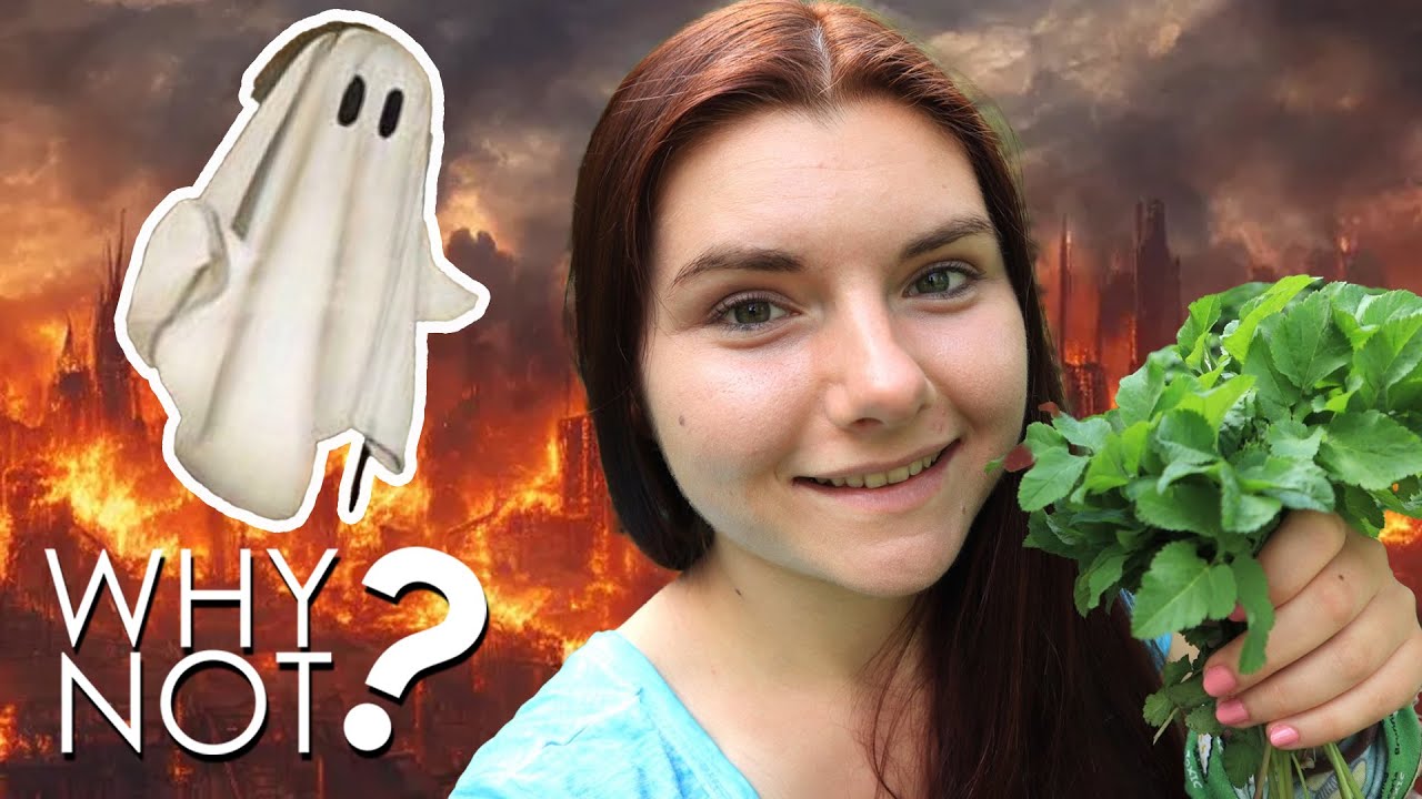Vyháňam démonov cez hlasovky tvrdí Divoká Tvorkyňa | WHYNOT?