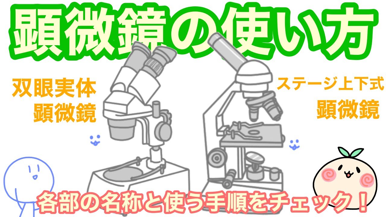 顕微鏡の使い方！双眼実体顕微鏡とステージ上下式顕微鏡【中学理科】