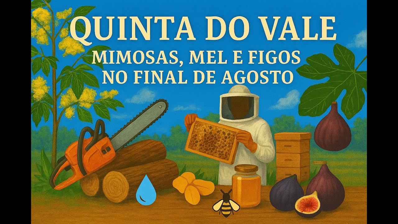 🍂🐝 Quinta do Vale — Preparar o Inverno, Cuidar das Abelhas e Colher os Frutos do Verão