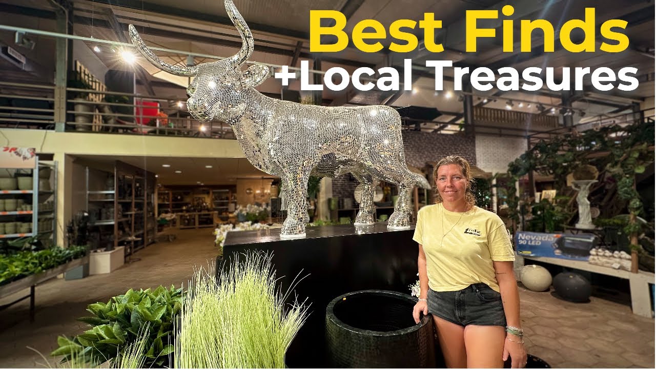 Aruba Shopping Tour: Discover the island's Hidden Gems & Top Stores