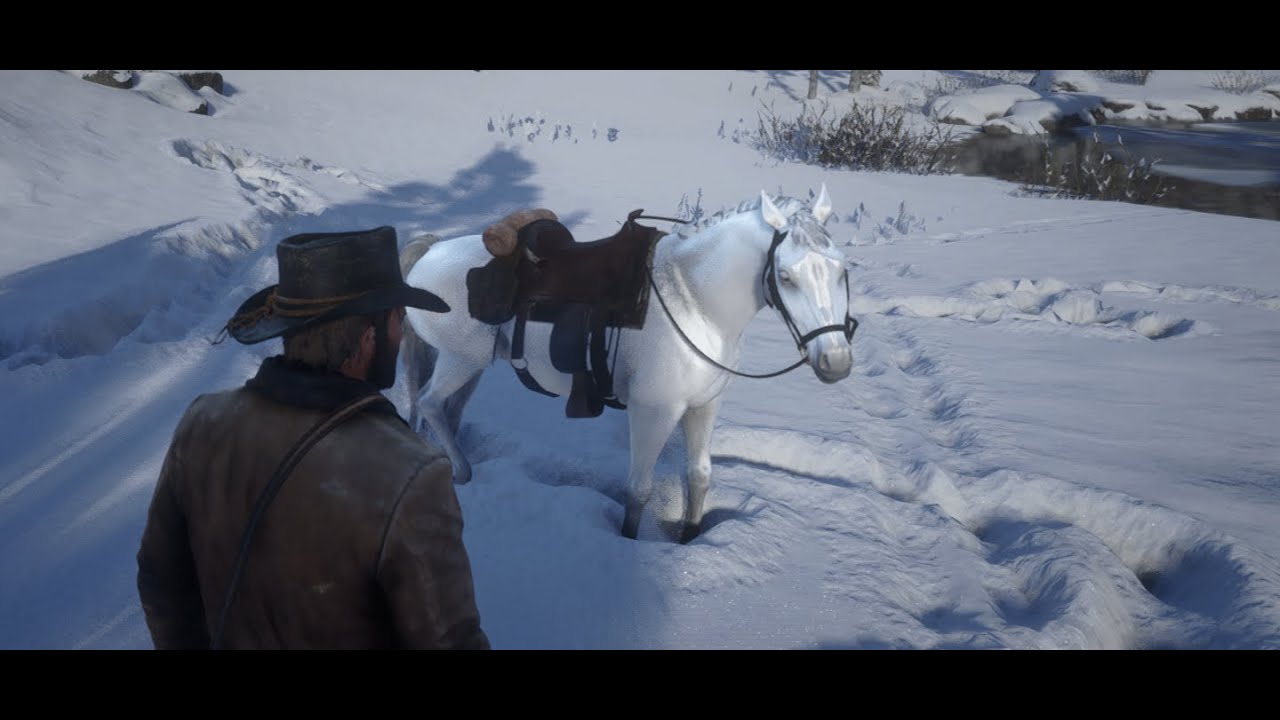 Red Dead Redemption 2 // Como Domar O Puro Sangue Árabe Branco (Atualizado com melhor qualidade)