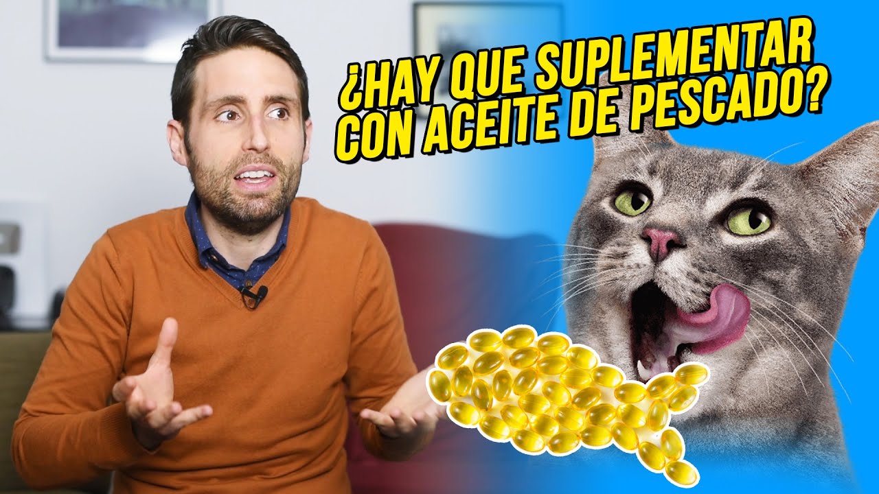 &iquest;Es recomendable darle aceite de pescado a los gatos?