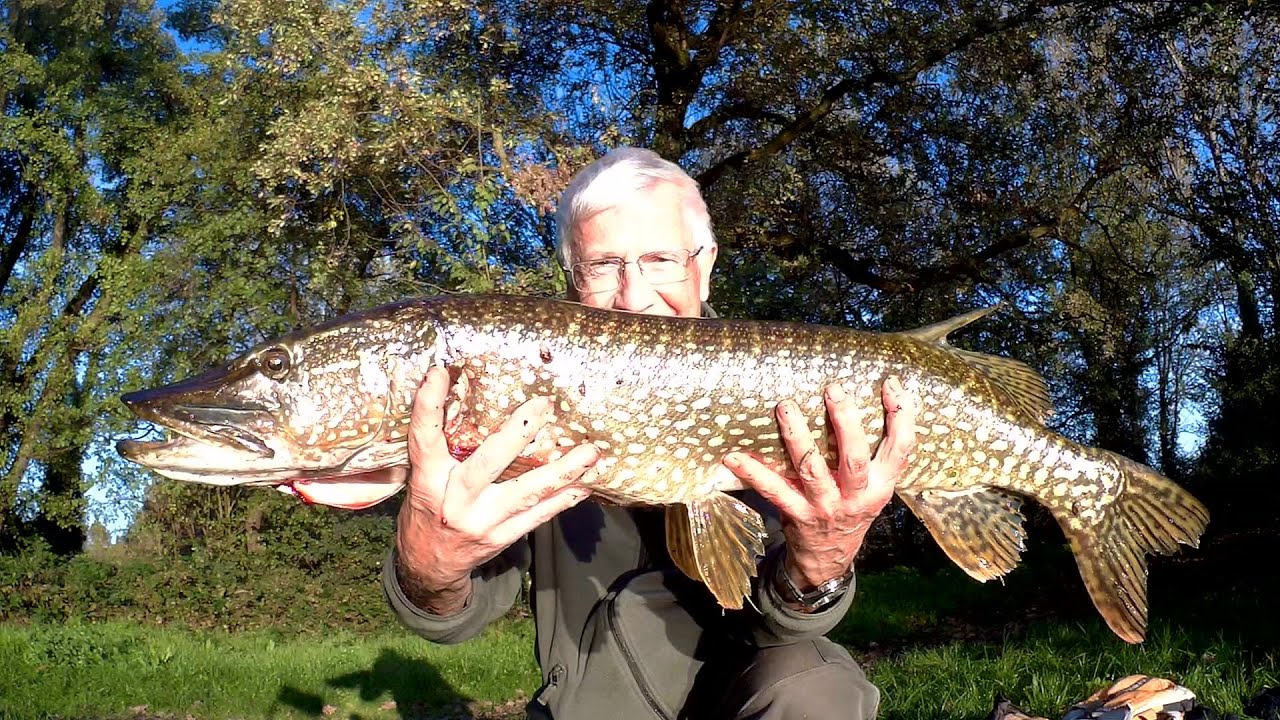 LUCCIO 90 CM. pescando con la boa in movimento.