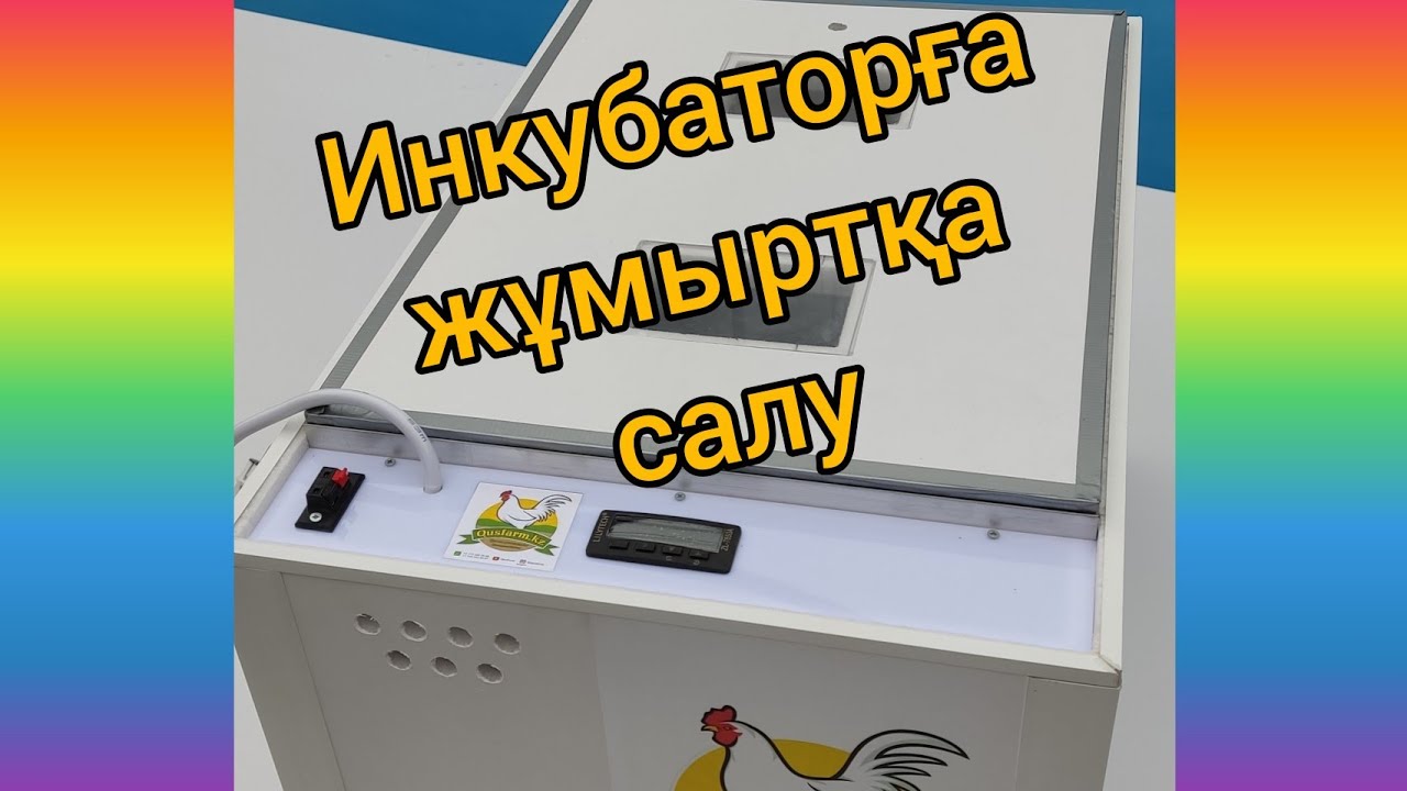 Инкубаторға жұмыртқа түрлерін салу және кеңес.Qus 100