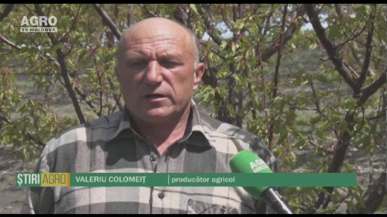 Metode de protecție împotriva înghețurilor