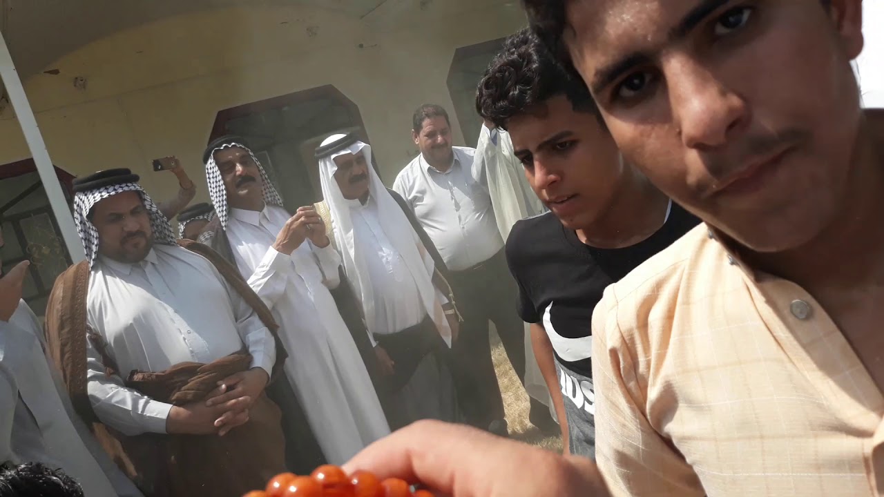 توديع شيوخ نصير السلامي للدكتور عبد الحميد الكندح السلامي من دولة سوريا