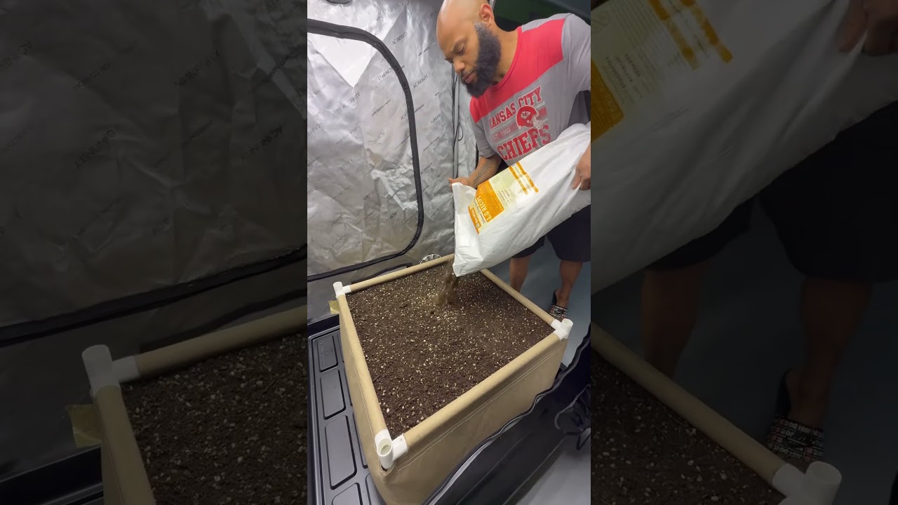 #homegarden subscribe to watch my growing journey