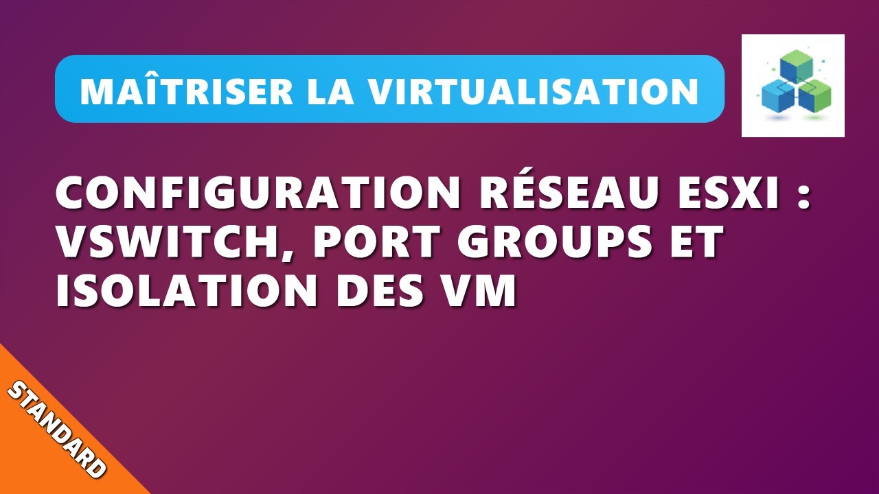 N12EP7 : ESXi : Réseaux virtuels, vSwitch et Port Groups