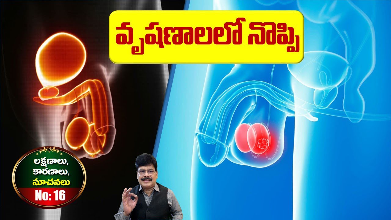 బీర్జాల్లో నొప్పి భయపెడుతోందా? సమగ్ర కారణాలు, సంపూర్ణ చికిత్సలూ తెలుసుకోండి! Scrotal Pain, Causes