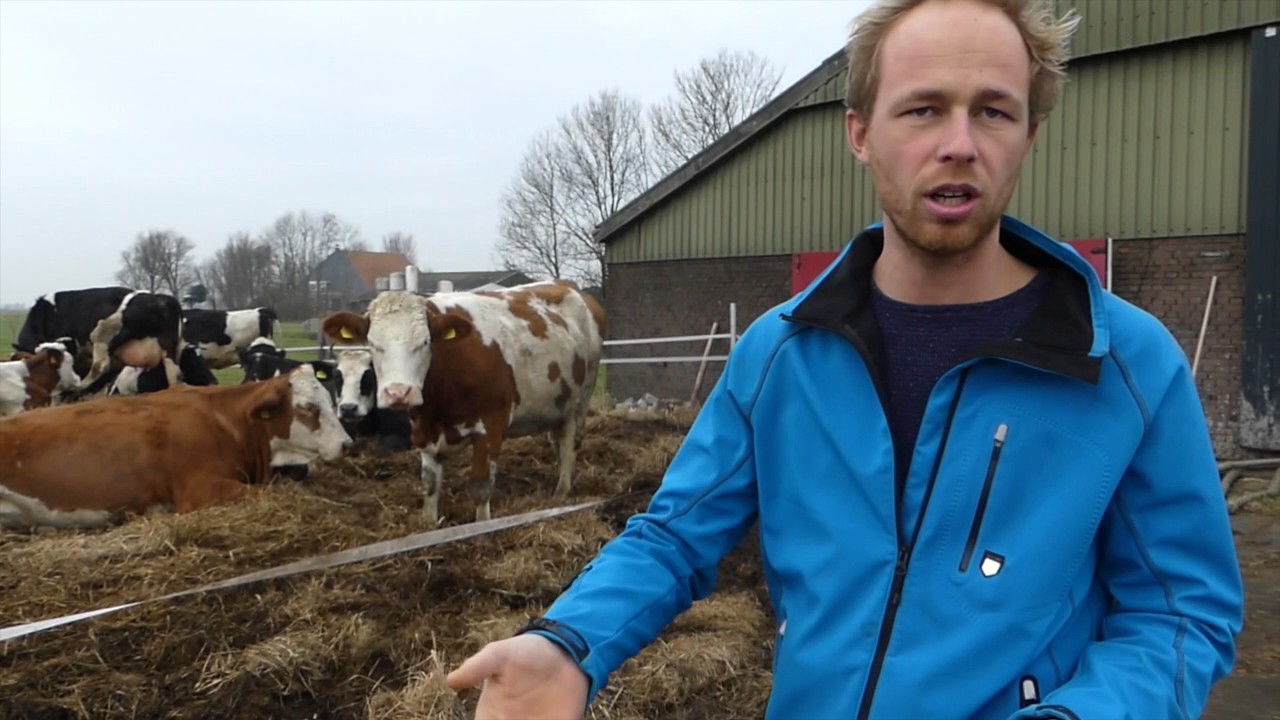 Gouden Grutto: Jaring Brunia