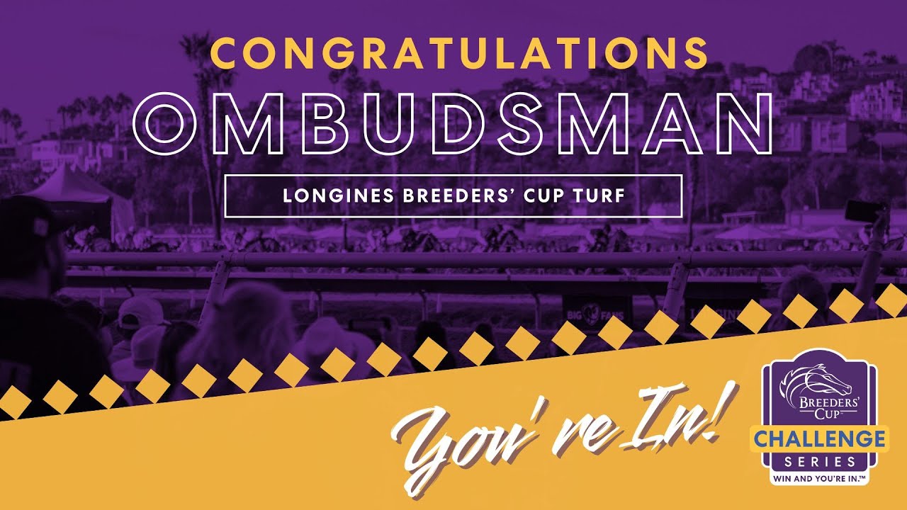 2025 Prince of Wales's Stakes- Ombudsman