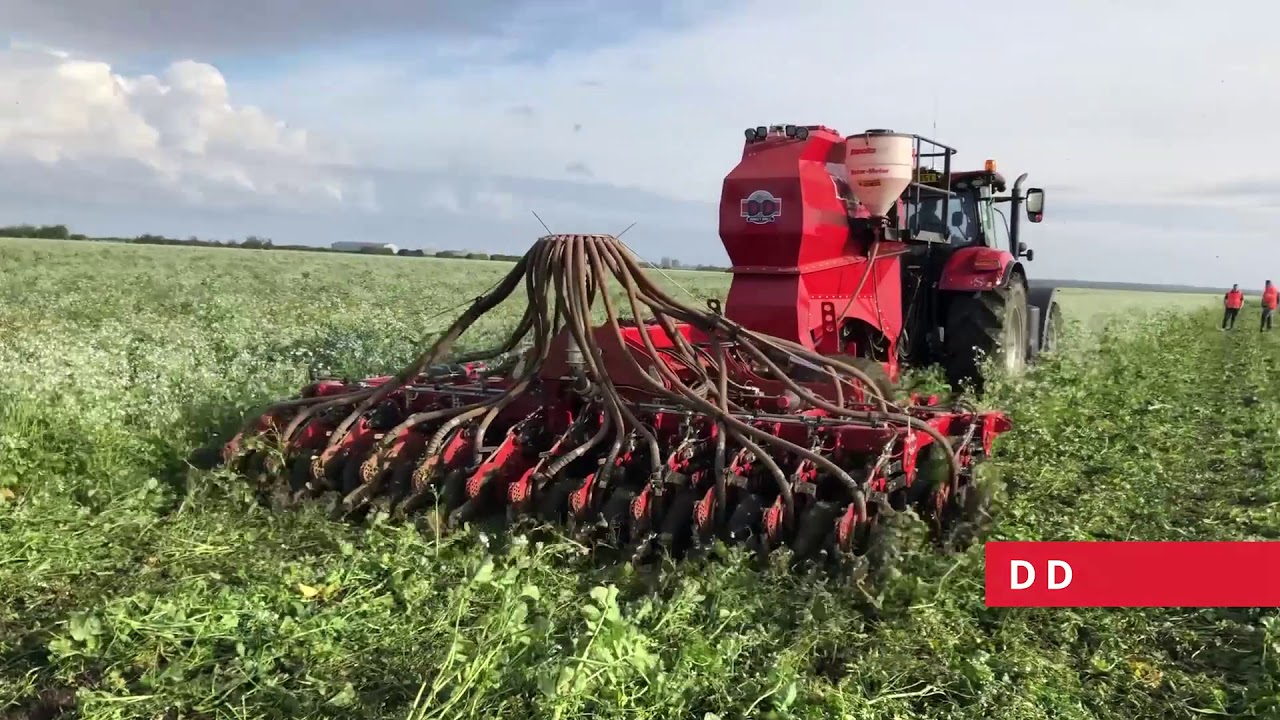 Sumo DD Direct Drill Drilling Straight Into Cover Crop