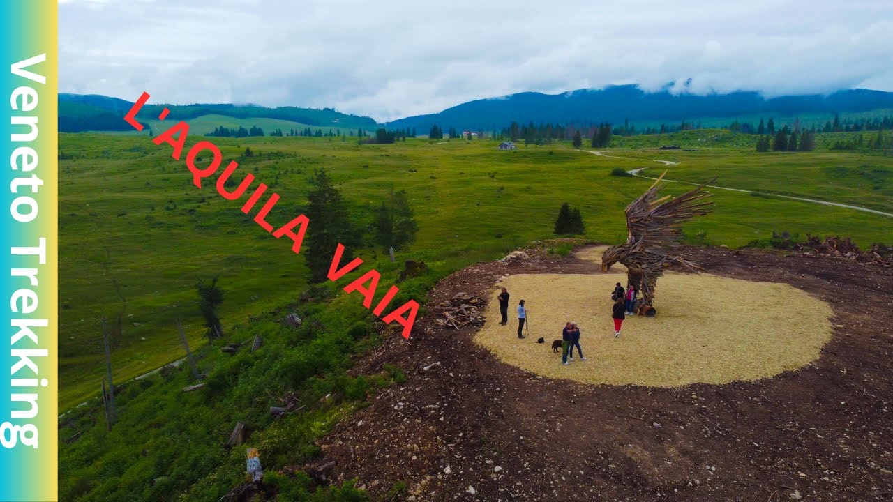 il volo dell'aquila di vaia :piana Marcesina.Grigno (TN)