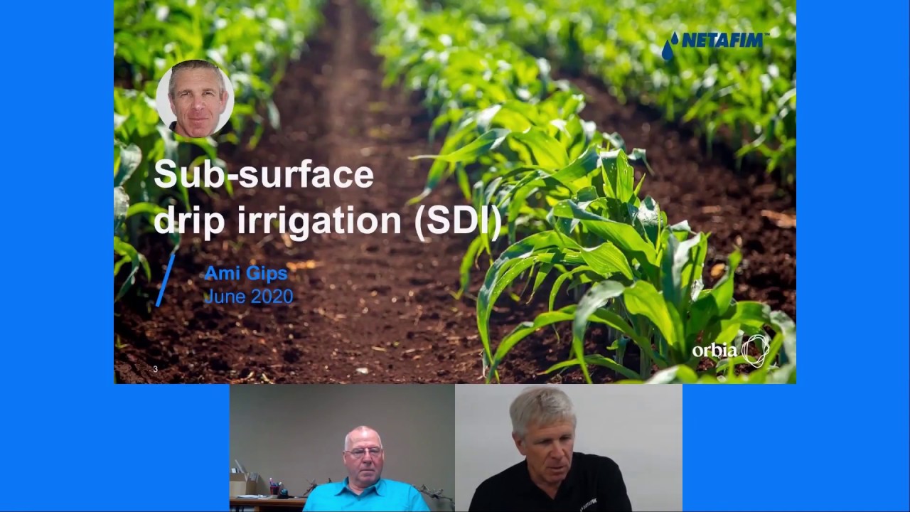 Sub-surface drip irrigation (SDI) Webinar | Netafim