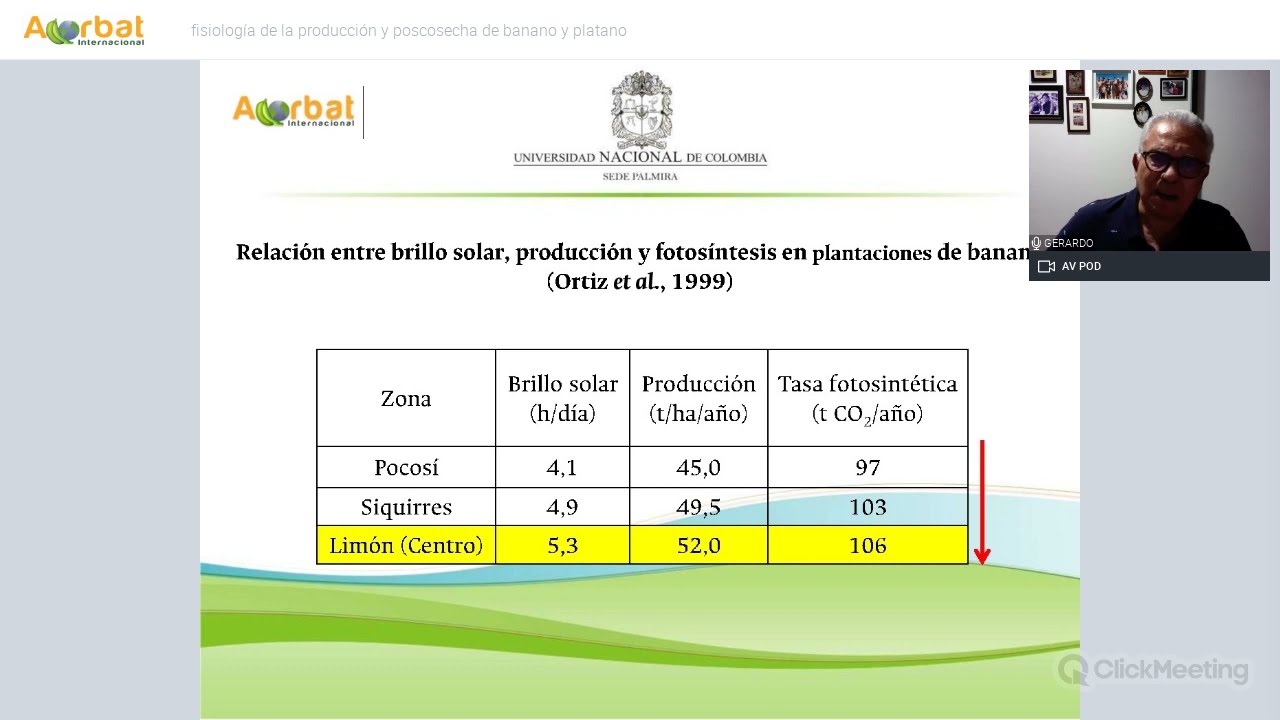 Acorbat online: Fisiología de la Producción y Poscosecha de Banano y Plátano