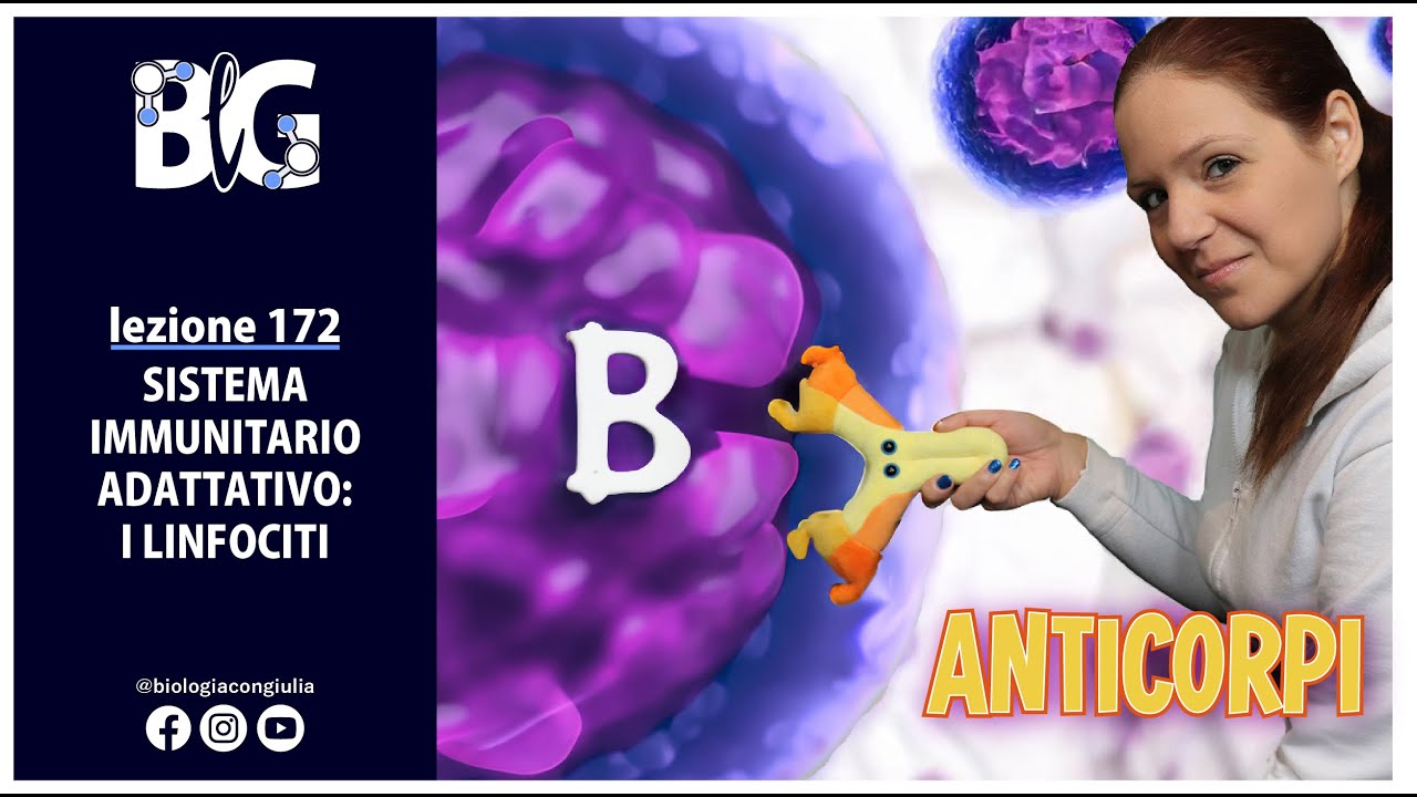 SISTEMA IMMUNITARIO ADATTATIVO: i LINFOCITI