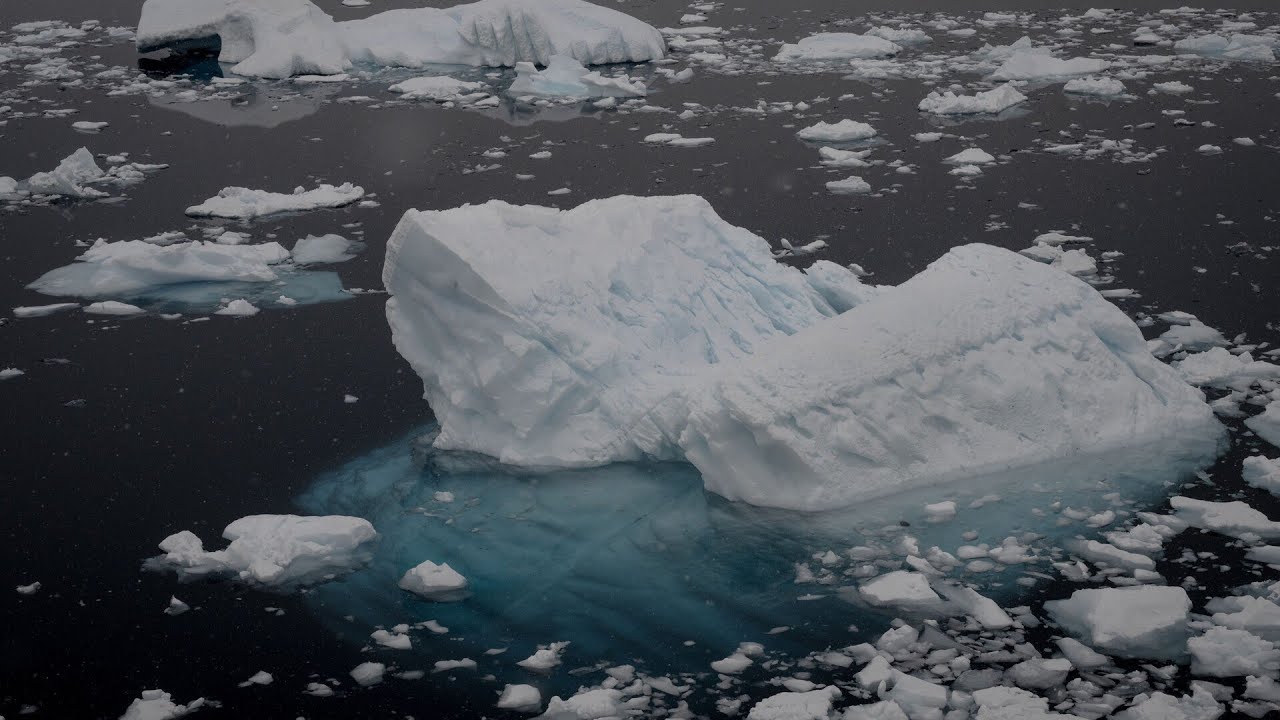 &lsquo;Shock horror&rsquo;: Antarctic shelf experiences record growth
