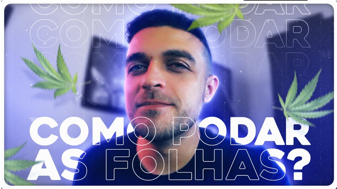 Como fazer a poda das folhas no cultivo indoor