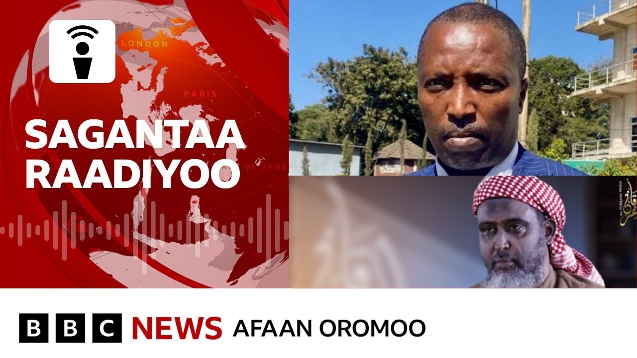 Obbo Taayyee Danda'aa har'a akkamitti dhaddachatti dhiyaatan ? | BBC News Afaan Oromoo