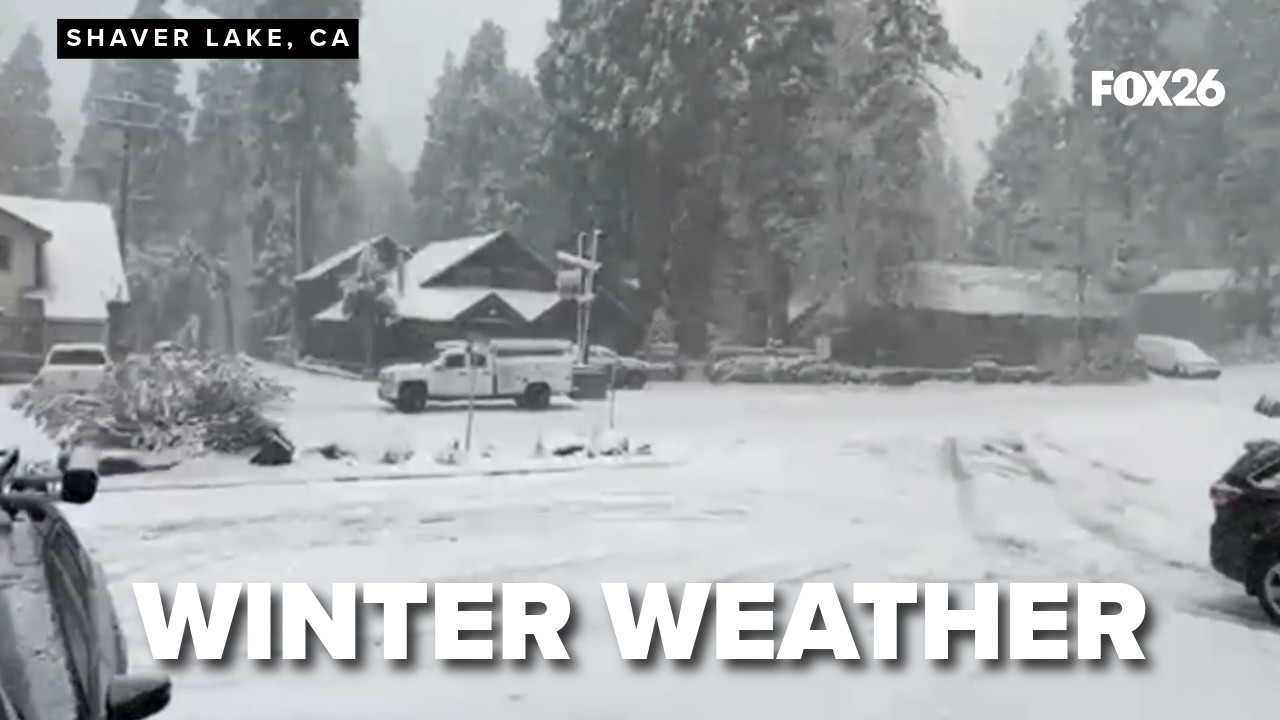 FOX26 live at Shaver Lake