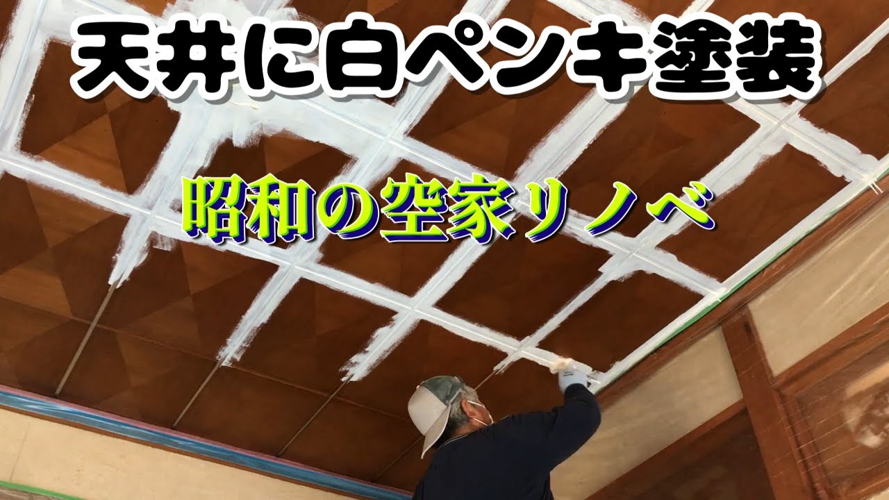今度は1階床の間リノベ…また出た！！スズメバチの巣！！一体いくつのスズメバチの巣あるんだ？【１９話】