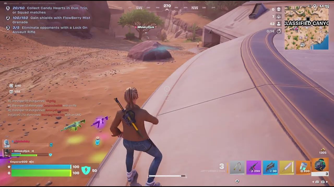 Fortnite_387